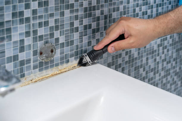 Office Mold Removal Services in Braidwood, IL