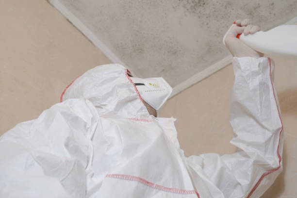Best Local Mold Removal Service  in Braidwood, IL
